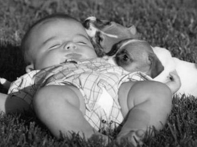 Μαμά, φοβάμαι τα σκυλιά…