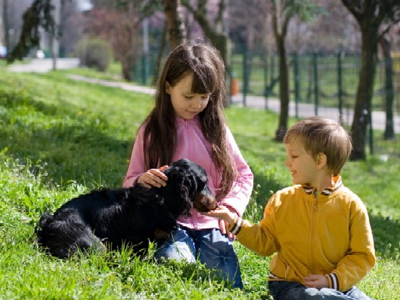 «Μαμά θα πάρουμε σκυλάκι;»