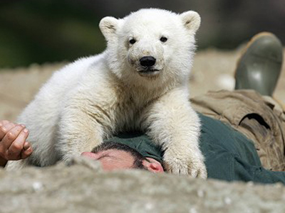 “Ορφανός” έμεινε ο Knut