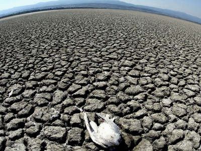 Κάποτε υπήρχε… η λίμνη Κορώνεια