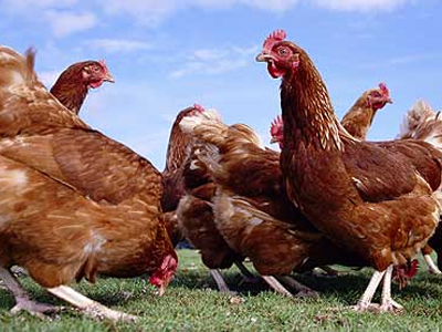 Τα αερόστατα σπάνε… τα αυγά