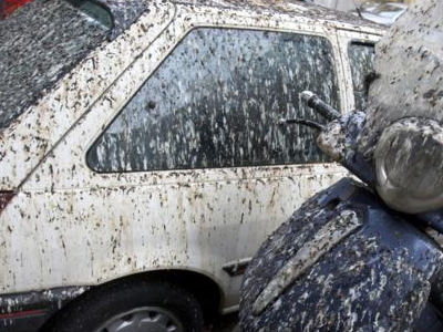 Τους «έπνιξαν» οι κουτσουλιές