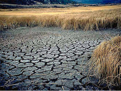 Σε κατάσταση εκτάκτου ανάγκης η Καλιφόρνια