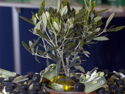 Κύμα αιτημάτων για διατίμηση σε δεκάδες προιόντα