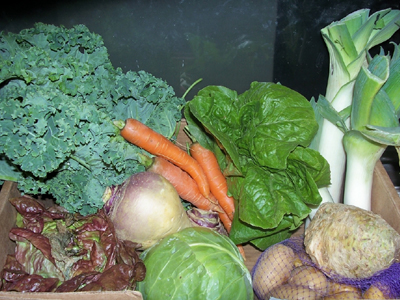 Τροφές που μειώνουν την πείνα