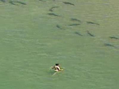 Την περικύκλωσαν οι καρχαρίες