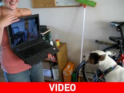 Ο σκύλος που γαβγίζει τον… εαυτό του