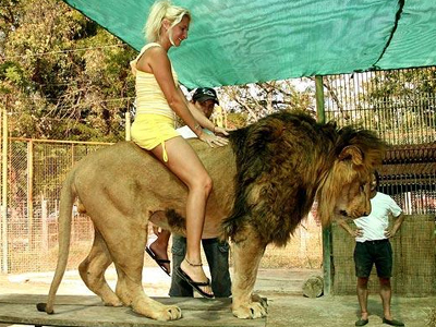 Παιχνίδι με λιοντάρια σε ζωολογικό κήπο της Αργεντινής