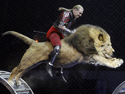 Ο άνθρωπος που «ιππεύει»… λιοντάρια