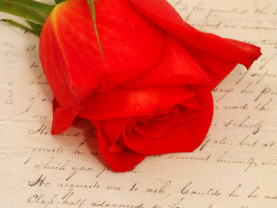 Επανένωσε 2000 κομμάτια σχισμένων ερωτικών γραμμάτων