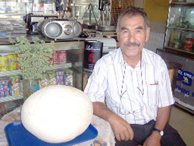 Μανιτάρι 3,5 κιλών… νόστιμο σαν μανούρι