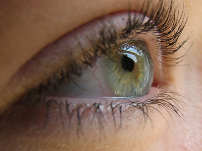 Βελτιώστε το eye-Q σας!