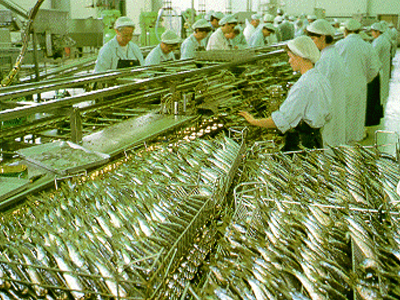 Βελτίωση της μεταποίησης στην Ευρωζώνη