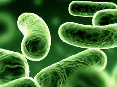 “Ύπουλα” τα βακτήρια της μηνιγγίτιδας