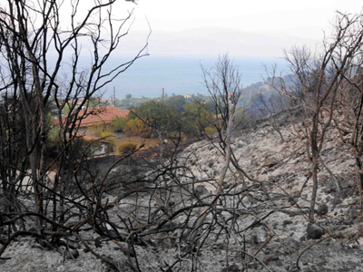Στον εισαγγελέα φερόμενος εμπρηστής