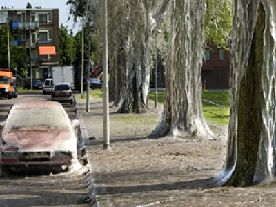 «Εφιάλτης» στο δρόμο με τις… κάμπιες