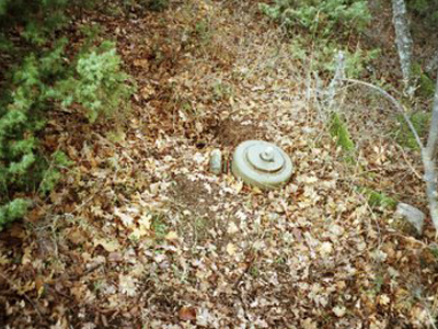 Νεκροί σε ναρκοπέδιο στον Έβρο