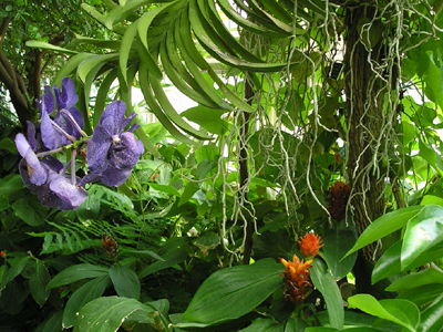 Φαρμακείο  «Η Φύση»