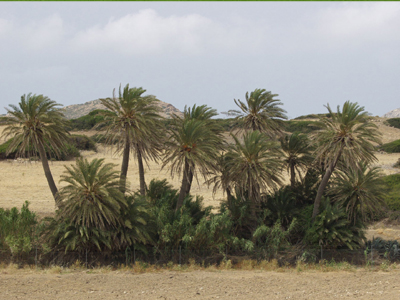Η ΝΕΤ των δύο ταχυτήτων