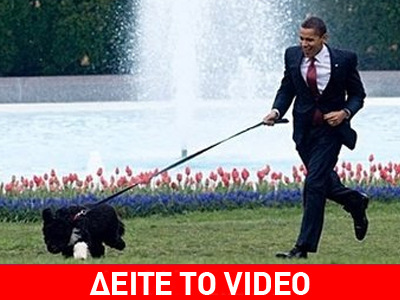 Ο «Πρώτος Σκύλος» των ΗΠΑ είναι πλέον γεγονός