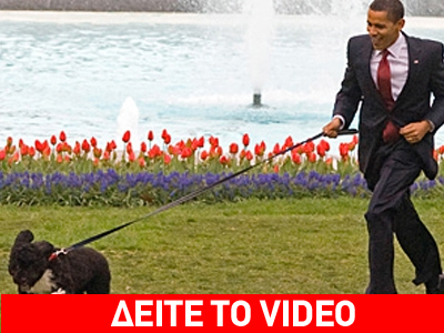 Ήρωας βιβλίου ο σκύλος του Ομπάμα