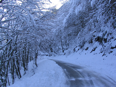 Παγετός στην κεντρική και δυτική Μακεδονία