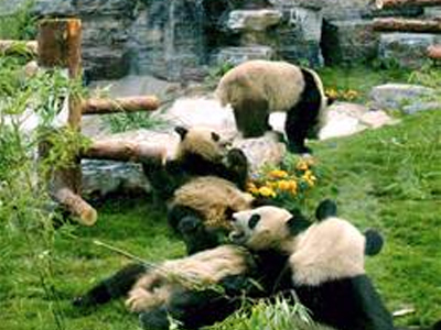 ΣΟΣ για τα Πάντα στην Κίνα