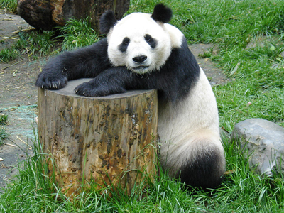 Πάντα δάγκωσε 20χρονο