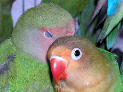 Εγώ τη …σκότωσα