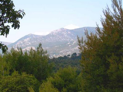 Βρήκαν τον δολοφόνο ένα χρόνο μετά