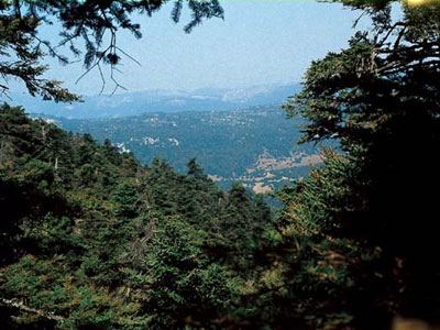 Φύλακες – αγγέλους «ζητά» η Πάρνηθα