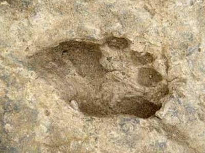 Ανθρώπινες πατημασιές 1,5 εκατομμυρίων ετών