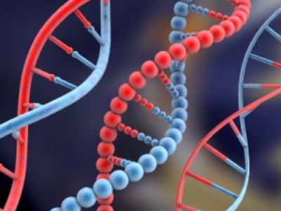 Εκστρατεία κατά του καρκίνου παχέος εντέρου