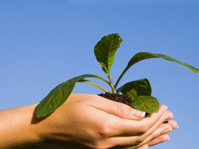 Συγκέντρωση για το περιβάλλον από τη Δημοτική Πρωτοβουλία “Αθήνα S.O.S”