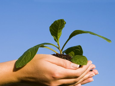 “Πράσινα” βραβεία για ελληνικές επιχειρήσεις