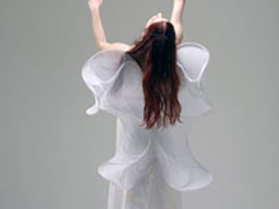 «Τα μάγια της πεταλούδας»