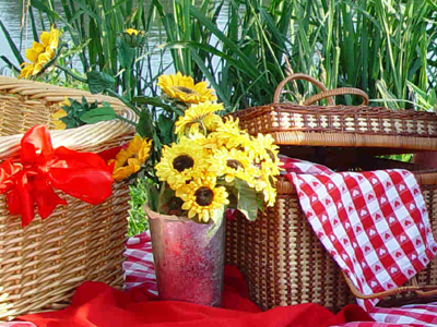 Ανοιξιάτικο πικ-νικ