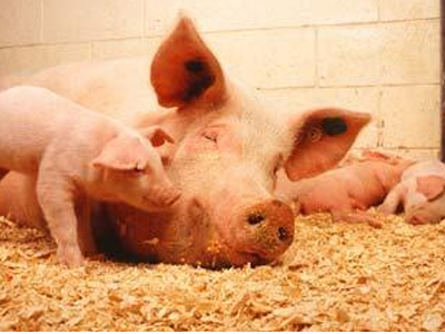 «Ήμουν κι εγώ στο… σκάφος»