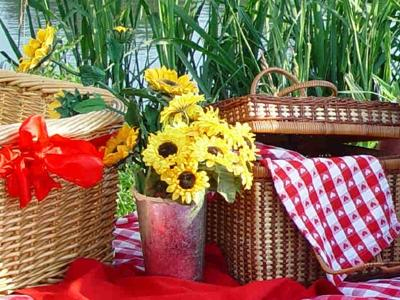 Ώρα για πικ νικ!