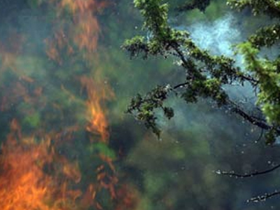 Φωτιά στο Πήλιο