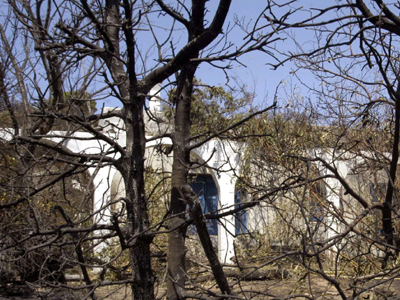 Σημαντικά συμπεράσματα για την αποφυγή πυρκαγιών