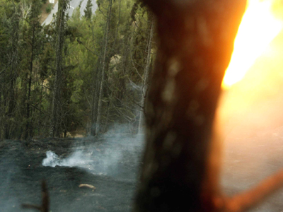 Ο ΟΤΕ βάζει… φωτιές