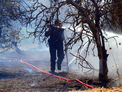 Οι εμπρηστές ήταν… δύο 13χρονες φίλες
