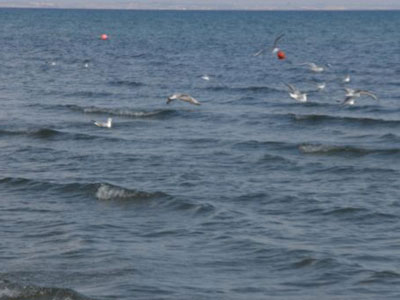 Πνίγηκε 78χρονη στον Μαραθώνα