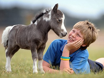 Γεννήθηκε άλογο 28 εκατοστών