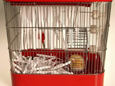 Χάμστερ… με οικολογική συνείδηση