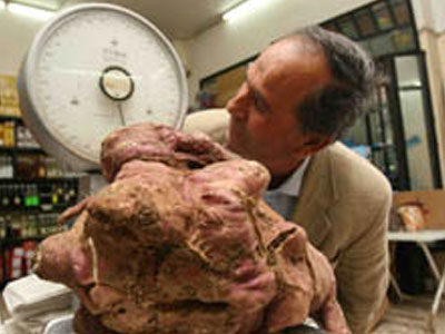 Η πιο βαριά πατάτα στον κόσμο