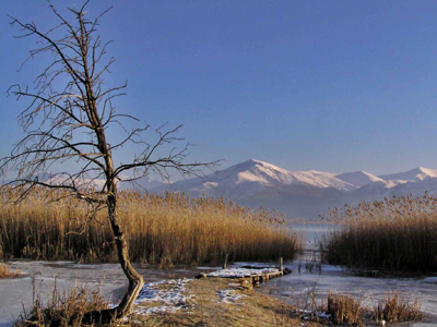 Εντοπίστηκαν οι λαθρομετανάστες στη Φλώρινα