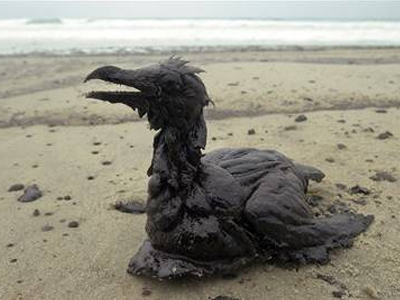 Ισπανία: Έλληνας πλοίαρχος κατηγορείται για ρύπανση