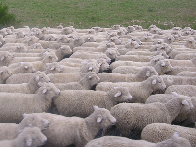 Ο Τραγάκης και ο… Κοπαδάκης